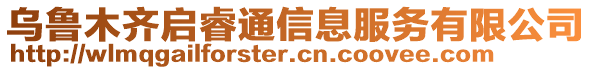 烏魯木齊啟睿通信息服務(wù)有限公司