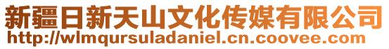 新疆日新天山文化傳媒有限公司
