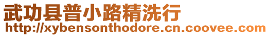武功縣普小路精洗行