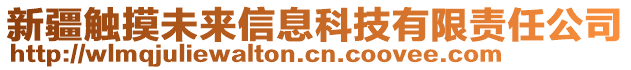 新疆觸摸未來信息科技有限責任公司