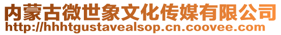 內蒙古微世象文化傳媒有限公司