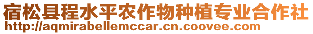 宿松縣程水平農作物種植專業合作社
