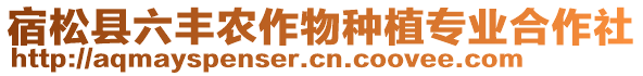 宿松縣六豐農作物種植專業合作社