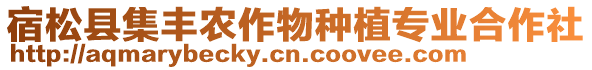 宿松縣集豐農(nóng)作物種植專業(yè)合作社