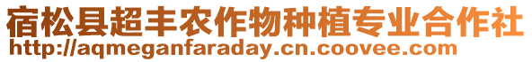 宿松縣超豐農(nóng)作物種植專業(yè)合作社