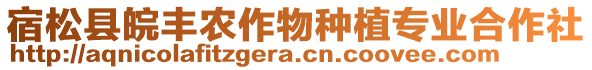 宿松縣皖豐農作物種植專業合作社