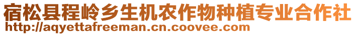 宿松縣程嶺鄉生機農作物種植專業合作社