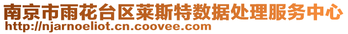 南京市雨花臺區(qū)萊斯特?cái)?shù)據(jù)處理服務(wù)中心
