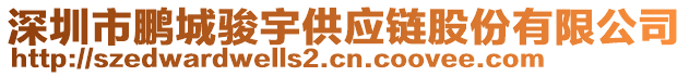 深圳市鵬城駿宇供應鏈股份有限公司
