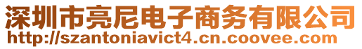深圳市亮尼電子商務有限公司