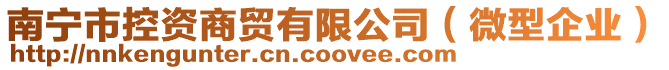 南寧市控資商貿有限公司（微型企業）