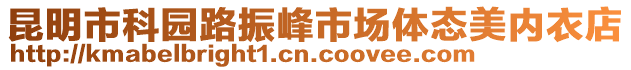 昆明市科園路振峰市場體態美內衣店
