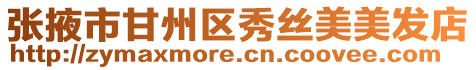 張掖市甘州區(qū)秀絲美美發(fā)店