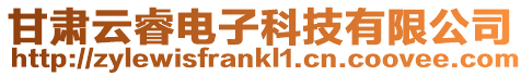 甘肅云睿電子科技有限公司