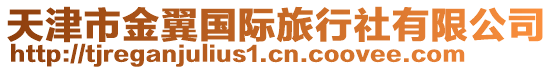 天津市金翼國際旅行社有限公司