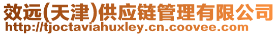 效遠(yuǎn)(天津)供應(yīng)鏈管理有限公司