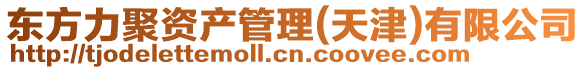 東方力聚資產管理(天津)有限公司