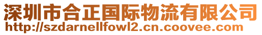深圳市合正國際物流有限公司