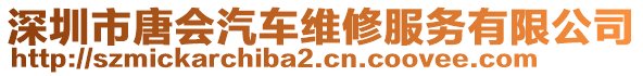 深圳市唐會(huì)汽車(chē)維修服務(wù)有限公司