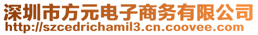 深圳市方元電子商務有限公司
