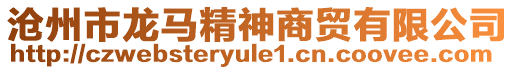 滄州市龍馬精神商貿有限公司