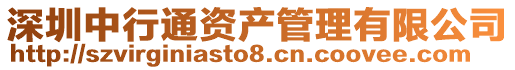深圳中行通資產(chǎn)管理有限公司
