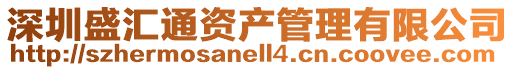 深圳盛匯通資產管理有限公司