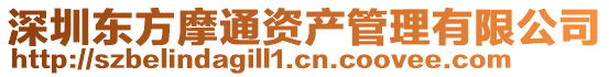 深圳東方摩通資產管理有限公司