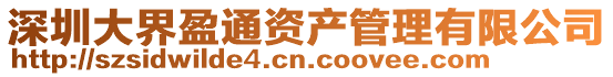 深圳大界盈通資產管理有限公司