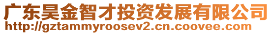 廣東昊金智才投資發(fā)展有限公司