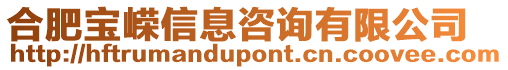 合肥寶嶸信息咨詢有限公司