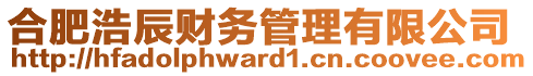 合肥浩辰財務(wù)管理有限公司