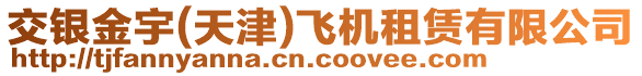 交銀金宇(天津)飛機租賃有限公司