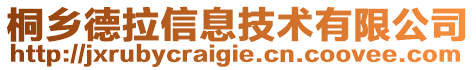 桐鄉(xiāng)德拉信息技術(shù)有限公司