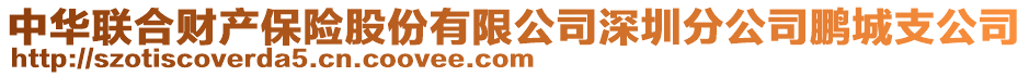 中華聯(lián)合財(cái)產(chǎn)保險(xiǎn)股份有限公司深圳分公司鵬城支公司
