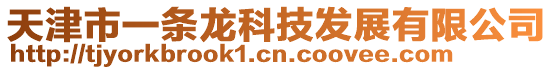 天津市一條龍科技發(fā)展有限公司