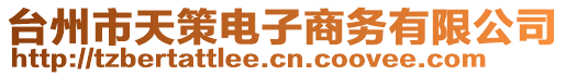 臺(tái)州市天策電子商務(wù)有限公司