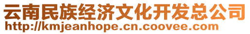 云南民族經(jīng)濟(jì)文化開發(fā)總公司