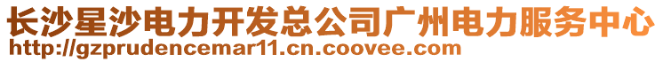 長沙星沙電力開發總公司廣州電力服務中心