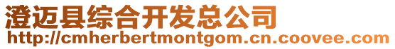澄邁縣綜合開發總公司