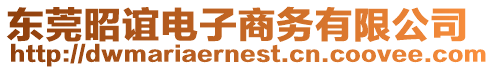 東莞昭誼電子商務有限公司