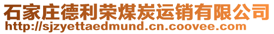 石家莊德利榮煤炭運(yùn)銷有限公司