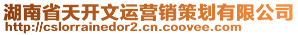 湖南省天開文運營銷策劃有限公司