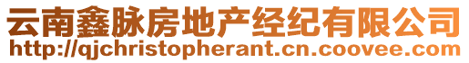 云南鑫脈房地產(chǎn)經(jīng)紀(jì)有限公司