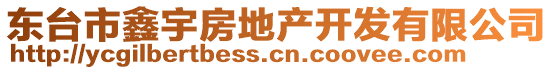 東臺(tái)市鑫宇房地產(chǎn)開(kāi)發(fā)有限公司