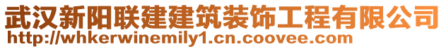 武漢新陽聯(lián)建建筑裝飾工程有限公司