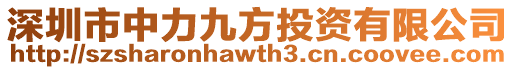 深圳市中力九方投資有限公司