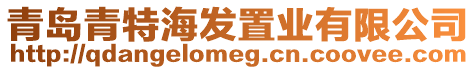 青島青特海發(fā)置業(yè)有限公司