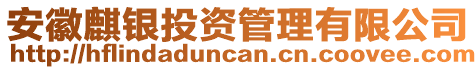 安徽麒銀投資管理有限公司