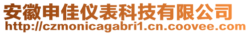 安徽申佳儀表科技有限公司